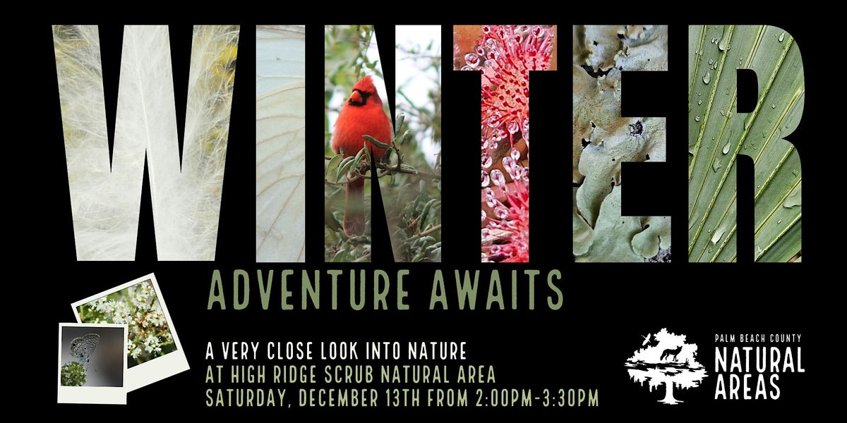 Adventure Awaits - A VERY Close Look at Nature Hike at High Ridge Scrub