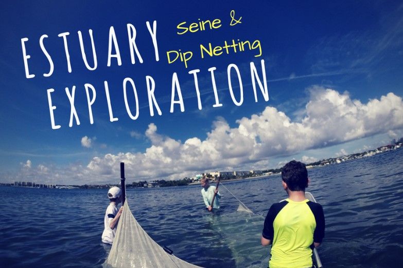 Estuary Exploration: Seine & Dip Netting