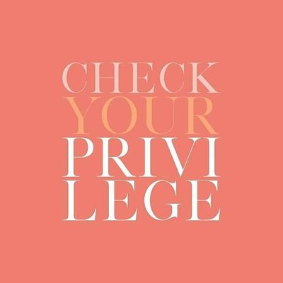 Check Your Privilege LLC