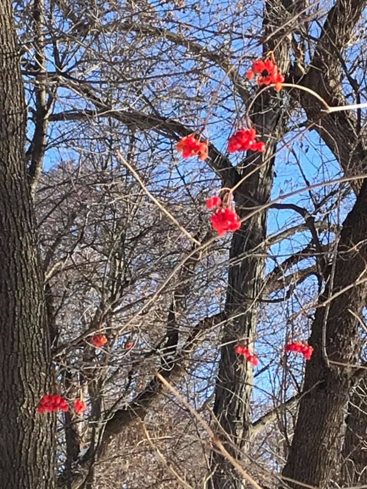 Natural Path Sanctuary Walking Tour 