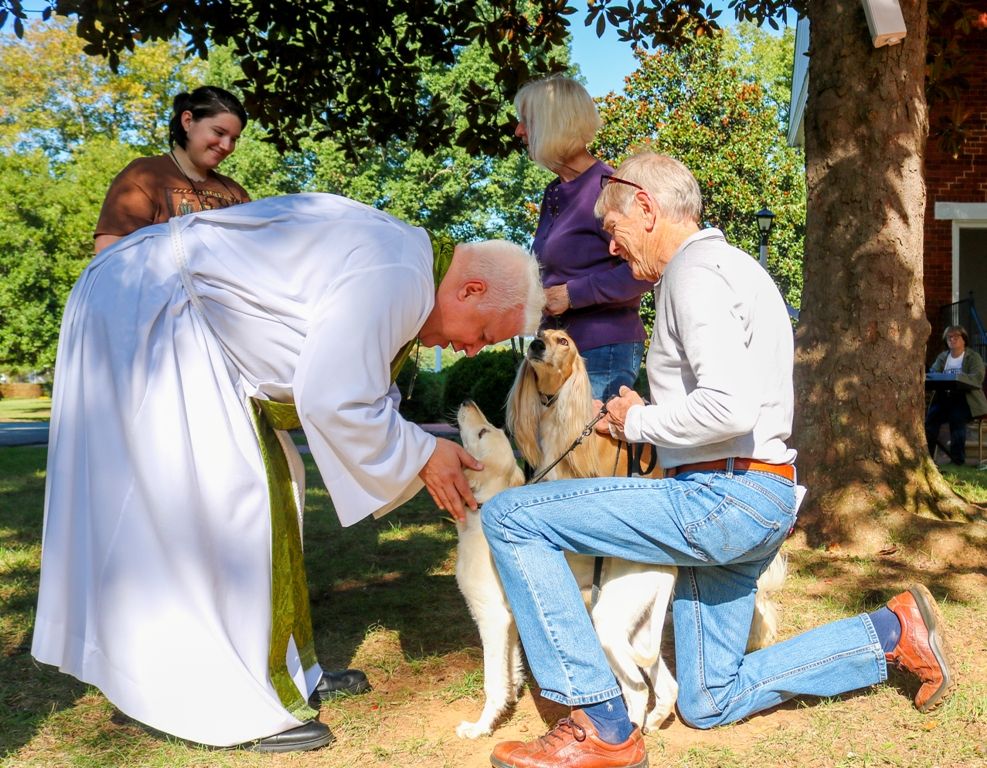 Blessing of the Animals