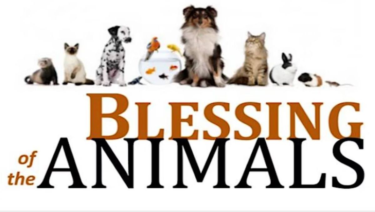 Blessing of the Animals