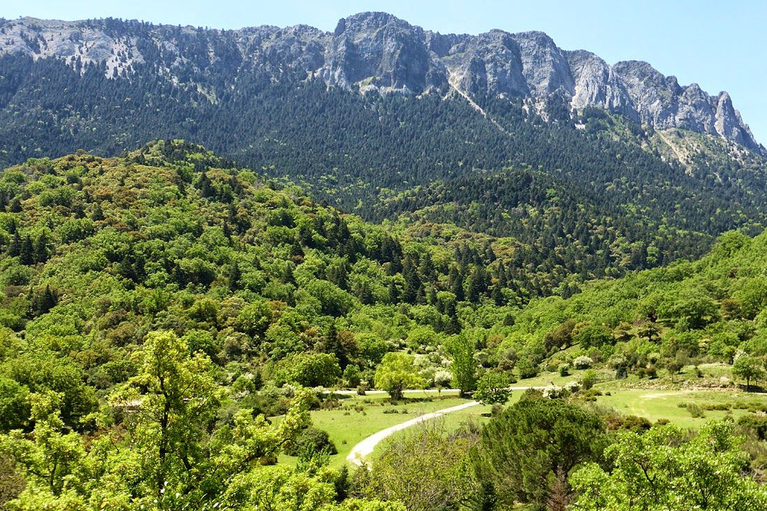 Sendero Llanos del Rabel, Grazalema