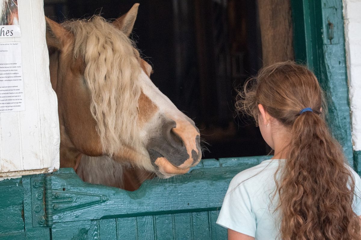 NeuroHarmony: Equine Social Adventures Workshop March 15th