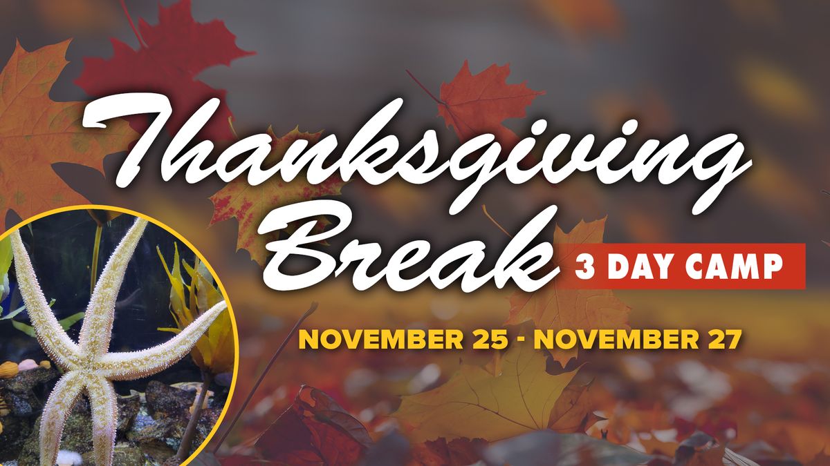 Thanksgiving Break 3 Day Camp