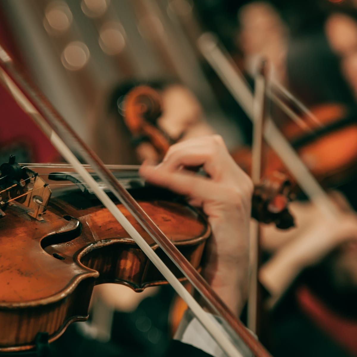 Omaha Symphony: Dan Browns Wild Symphony at Holland Performing Arts Center