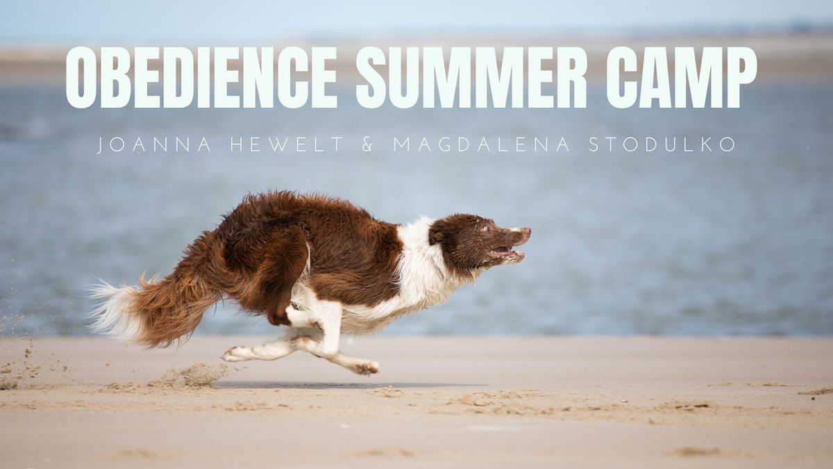 OBEDIENCE SUMMER CAMP 2025