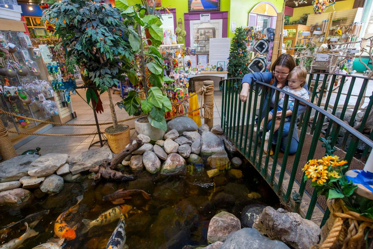 Parking Hare & Tortoise - East Lansing