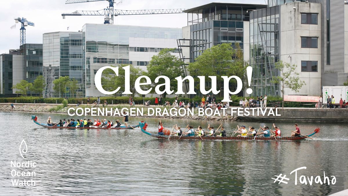 NOW x 2024 Dragon Boat Festival Copenhagen 