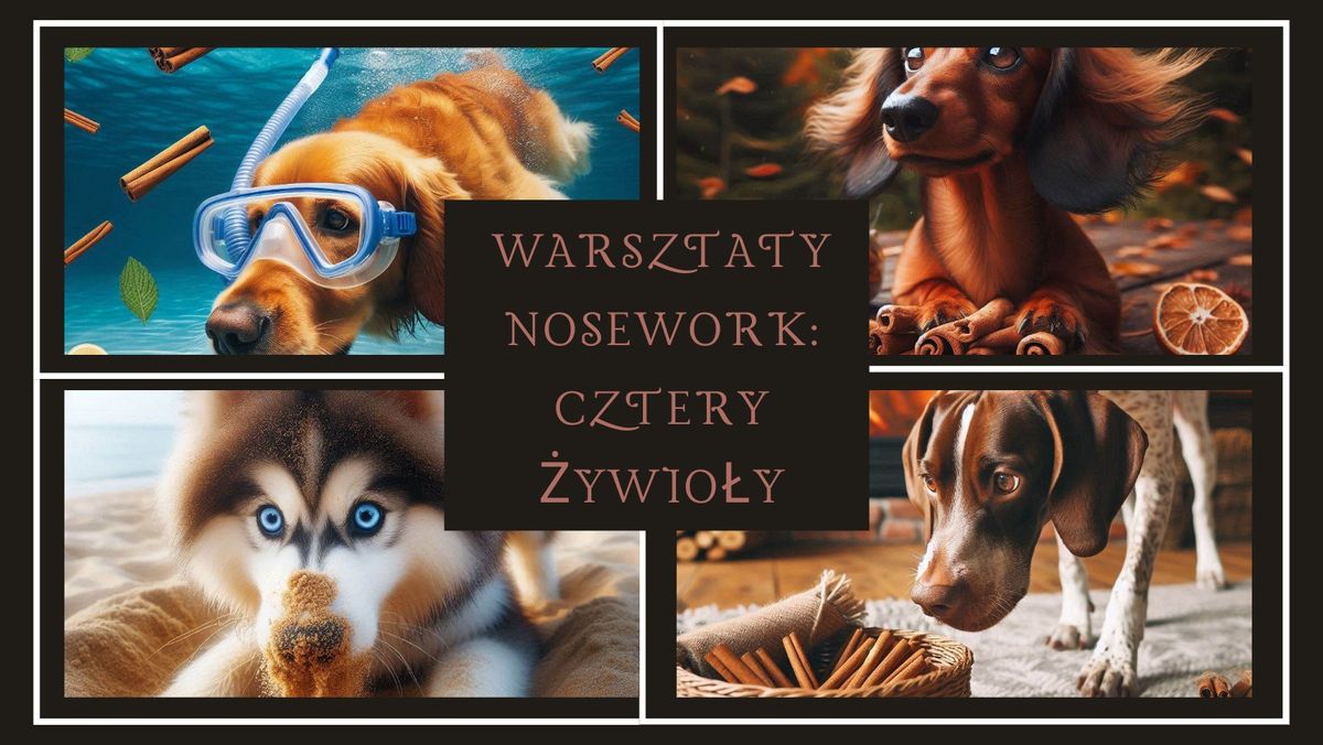 Warsztaty nosework: Cztery \u017cywio\u0142y