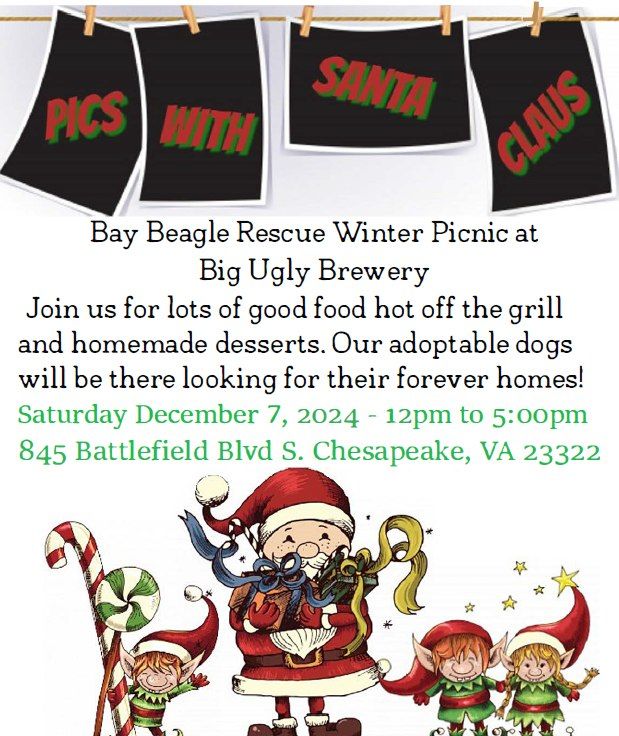 Bay Beagle Rescue Picnic and Pictures with Santa