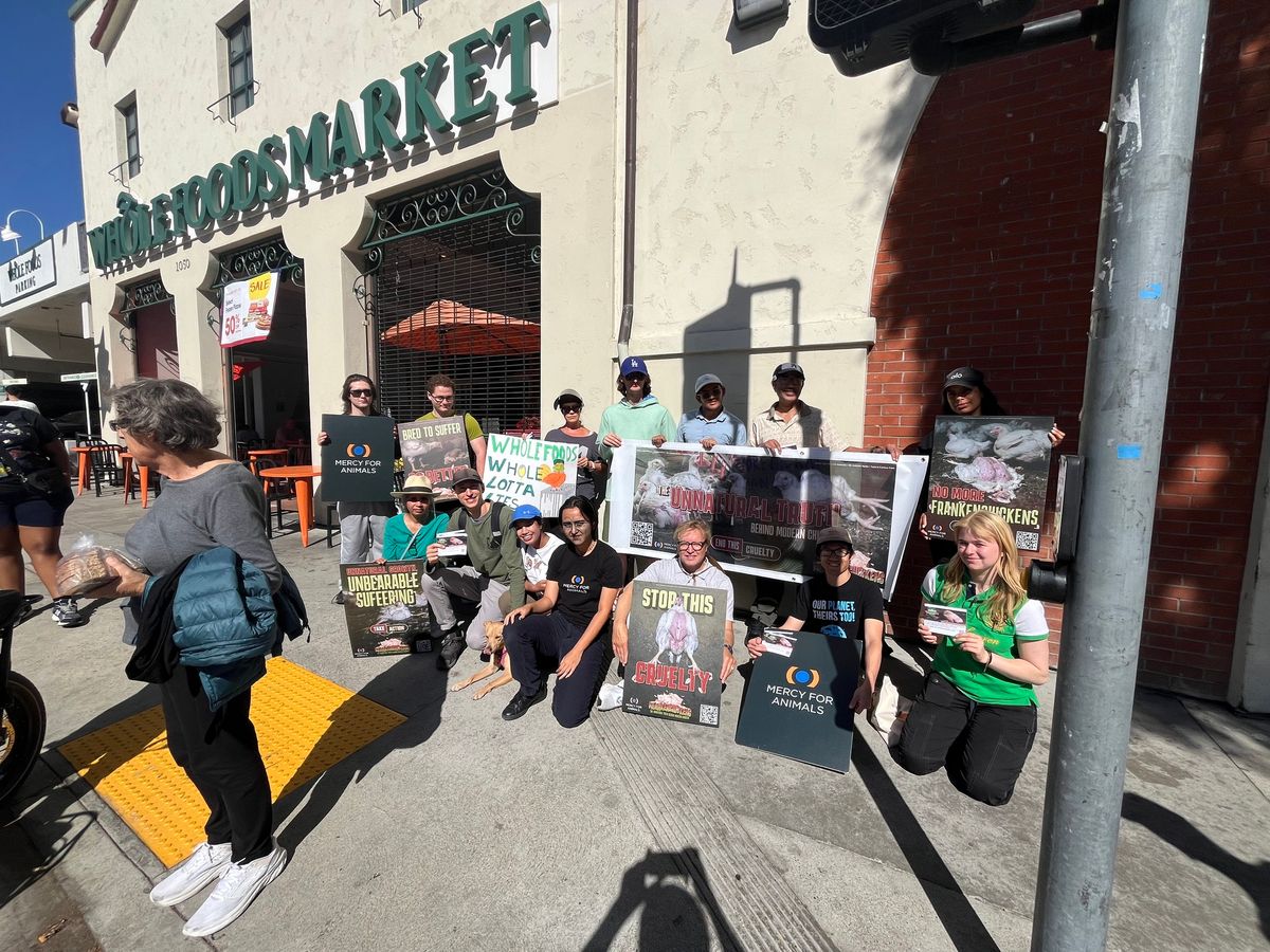 MFA Whole Foods Frankenchicken Protest