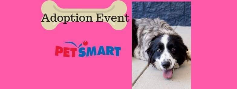 Glen Burnie, MD - Adoption Event