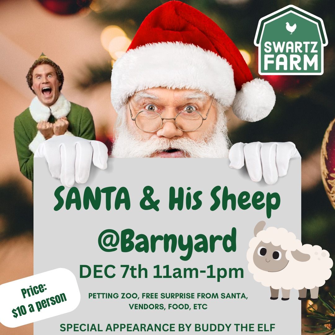 Santa & His Sheep 