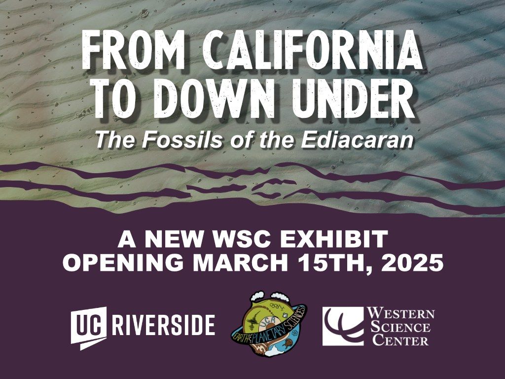 From California to Down Under: The Fossils of the Ediacaran Exhibit Opening