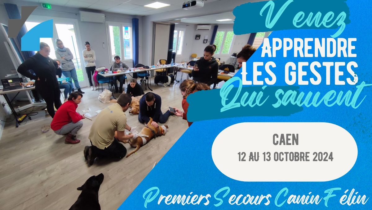 Formation aux Premiers Secours pour Chien et Chat \u00e0 CAEN