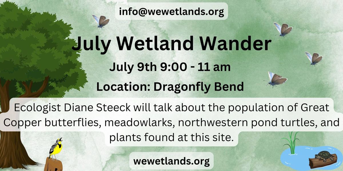 July Wetland Wander 