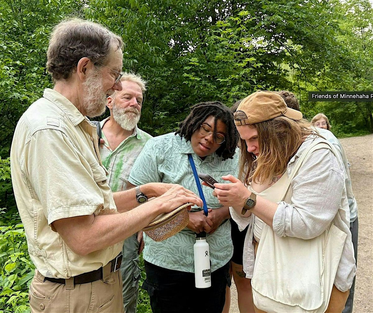 Nature Walk with a Naturalist:  "Summer Happenings Along the Creek"