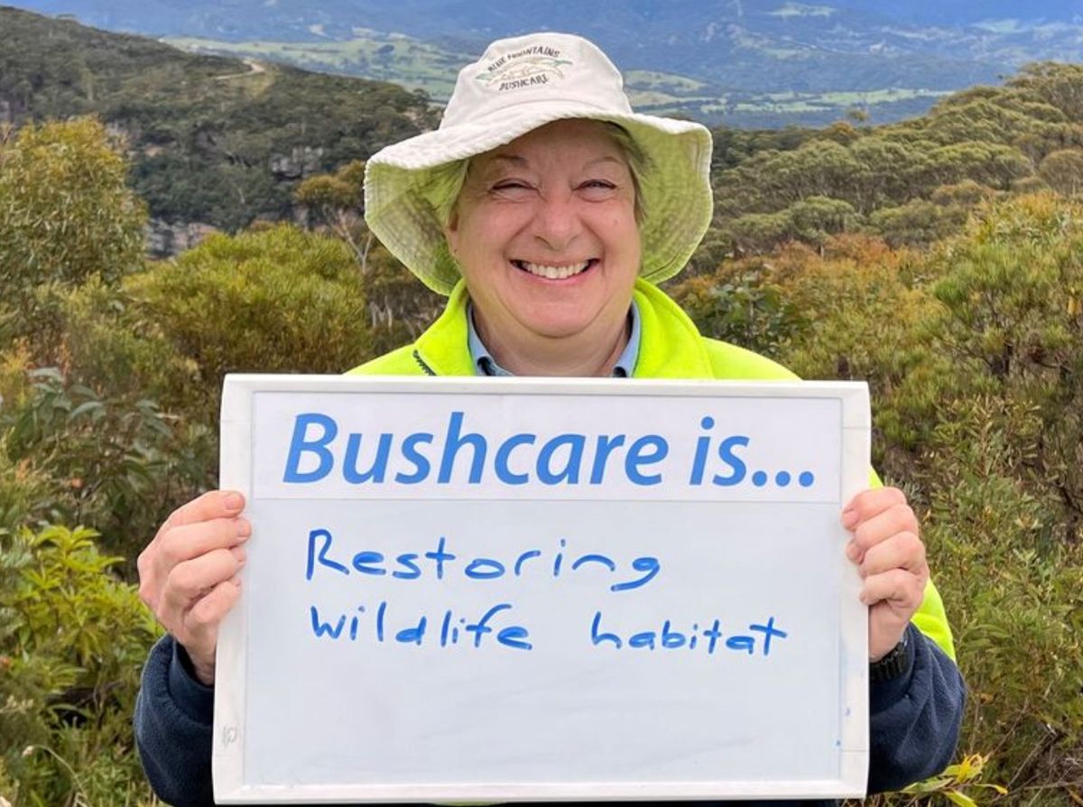 Launch of Planetary Health Bushcare Group
