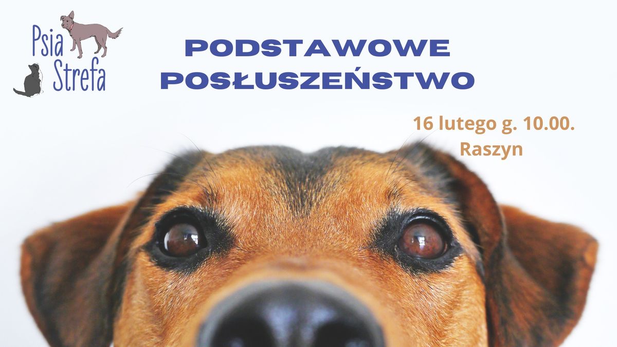 3 edycja Podstawowego Pos\u0142usze\u0144stwa w Raszynie