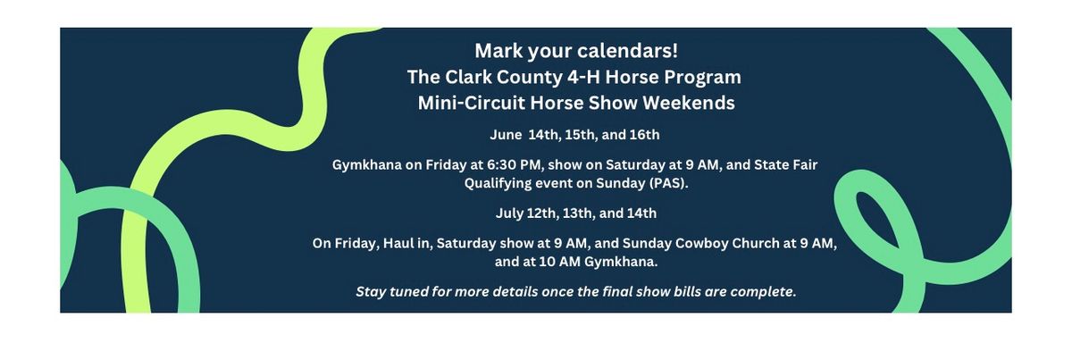 Mini Circuit Horse Show