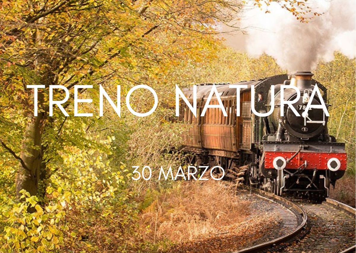 TRENO A VAPORE SIENA PASSEGGIATA A PIENZA|  30 MARZO 2025