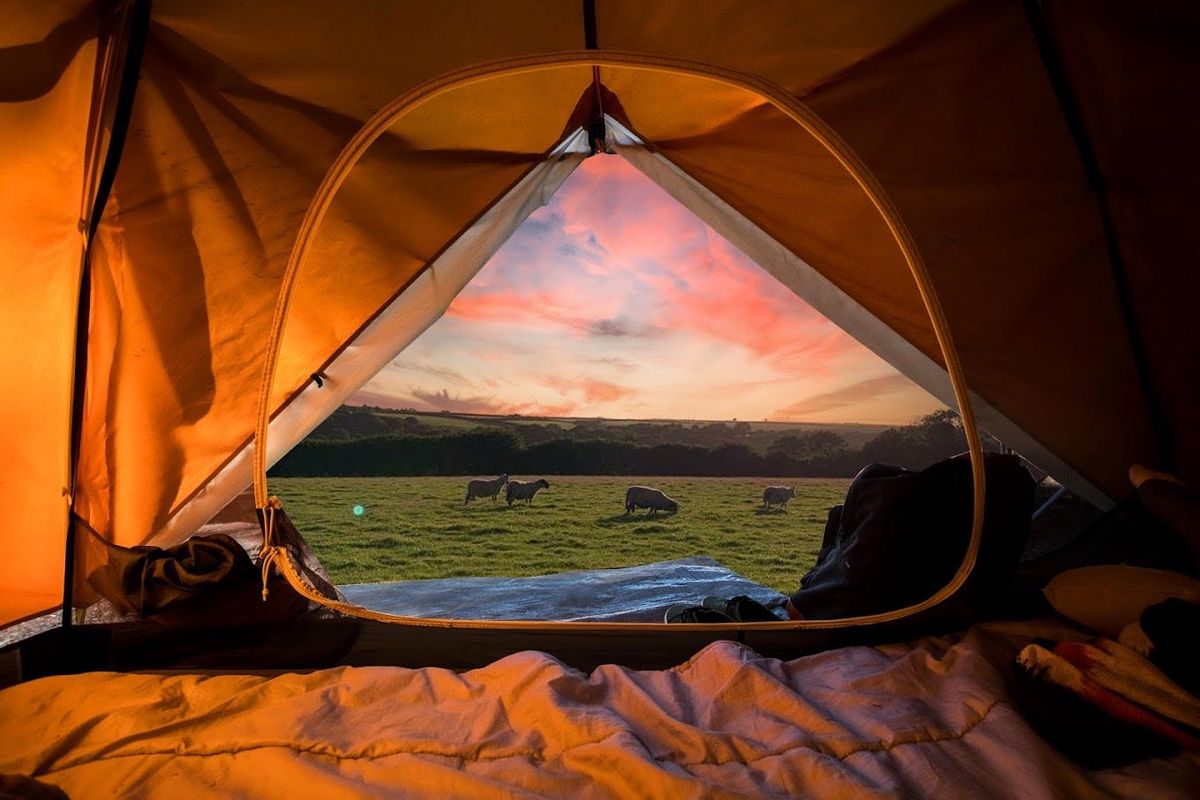 Back to The Barn Camping 