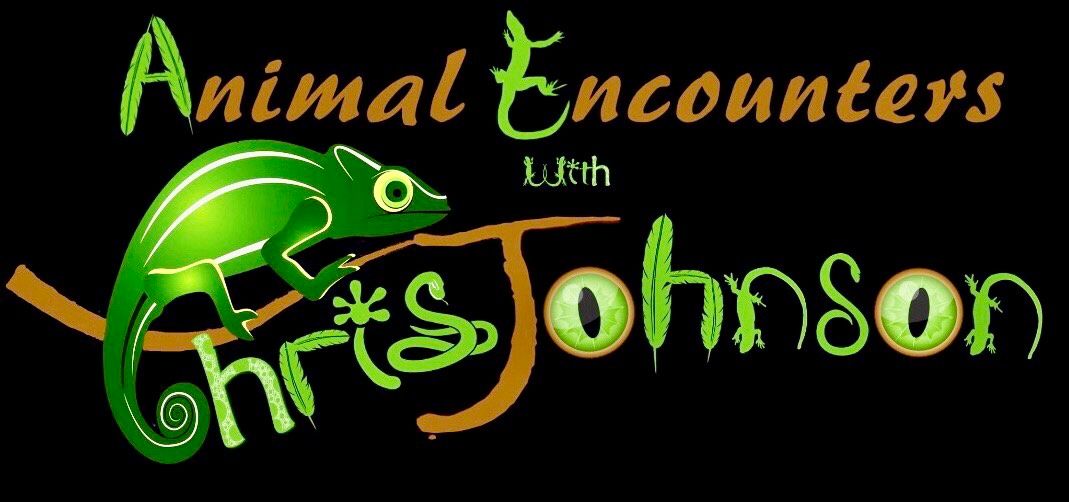 Futureproof - Animal Encounters with Chris Johnson