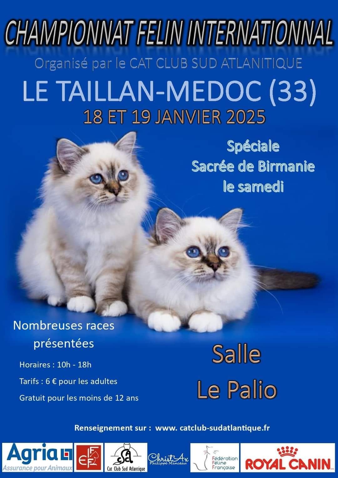 EXPOSITION FELINE INTERNATIONALE - LE TAILLAN-MEDOC  