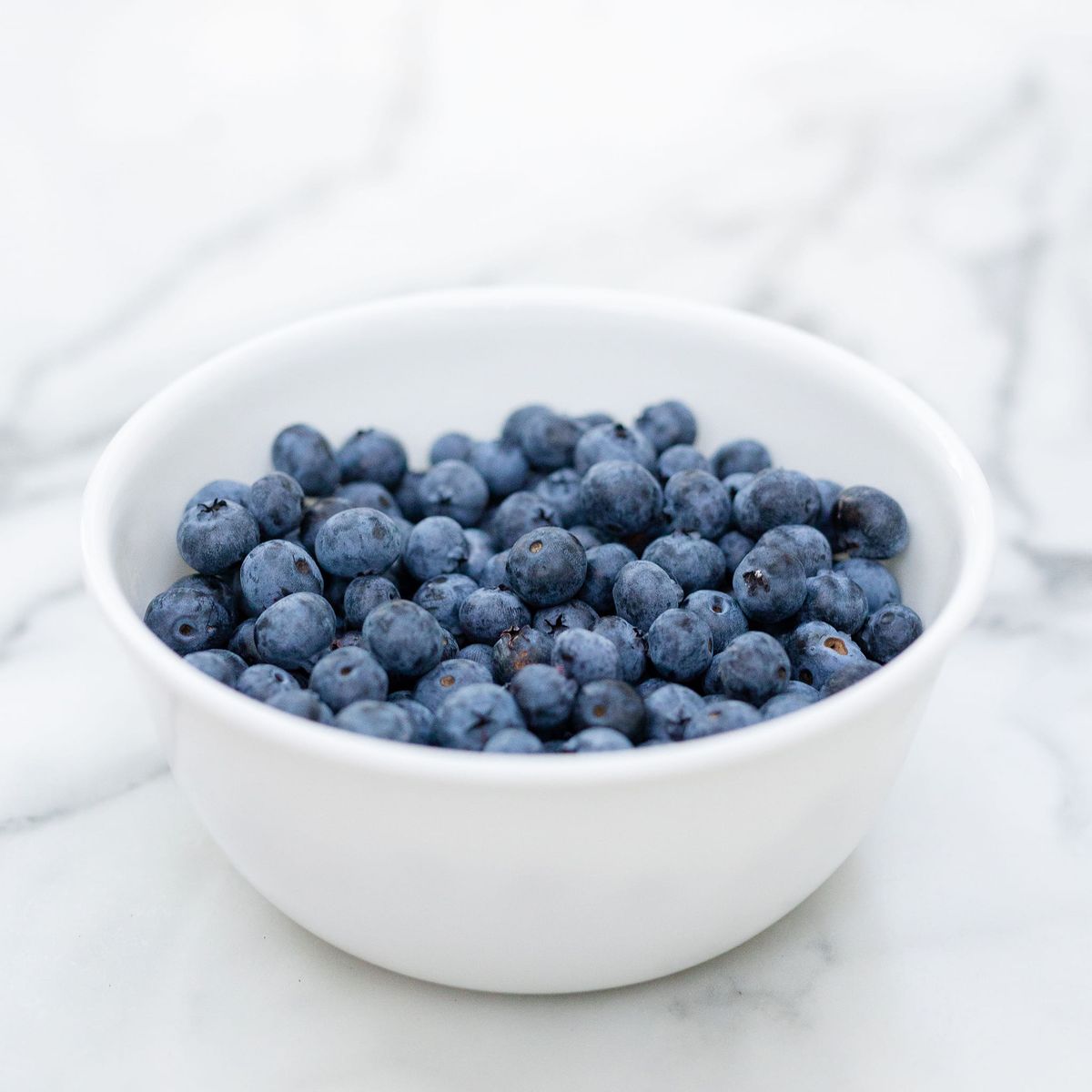 Opening Day U-Pick Blueberries