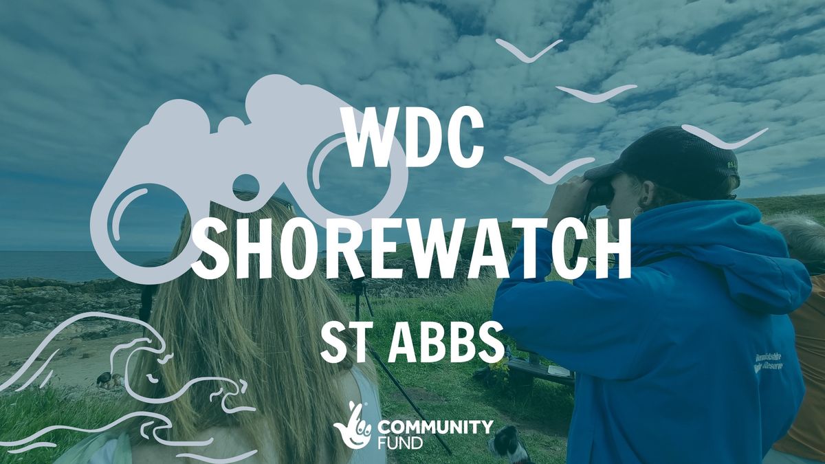 WDC Shorewatch - St Abbs