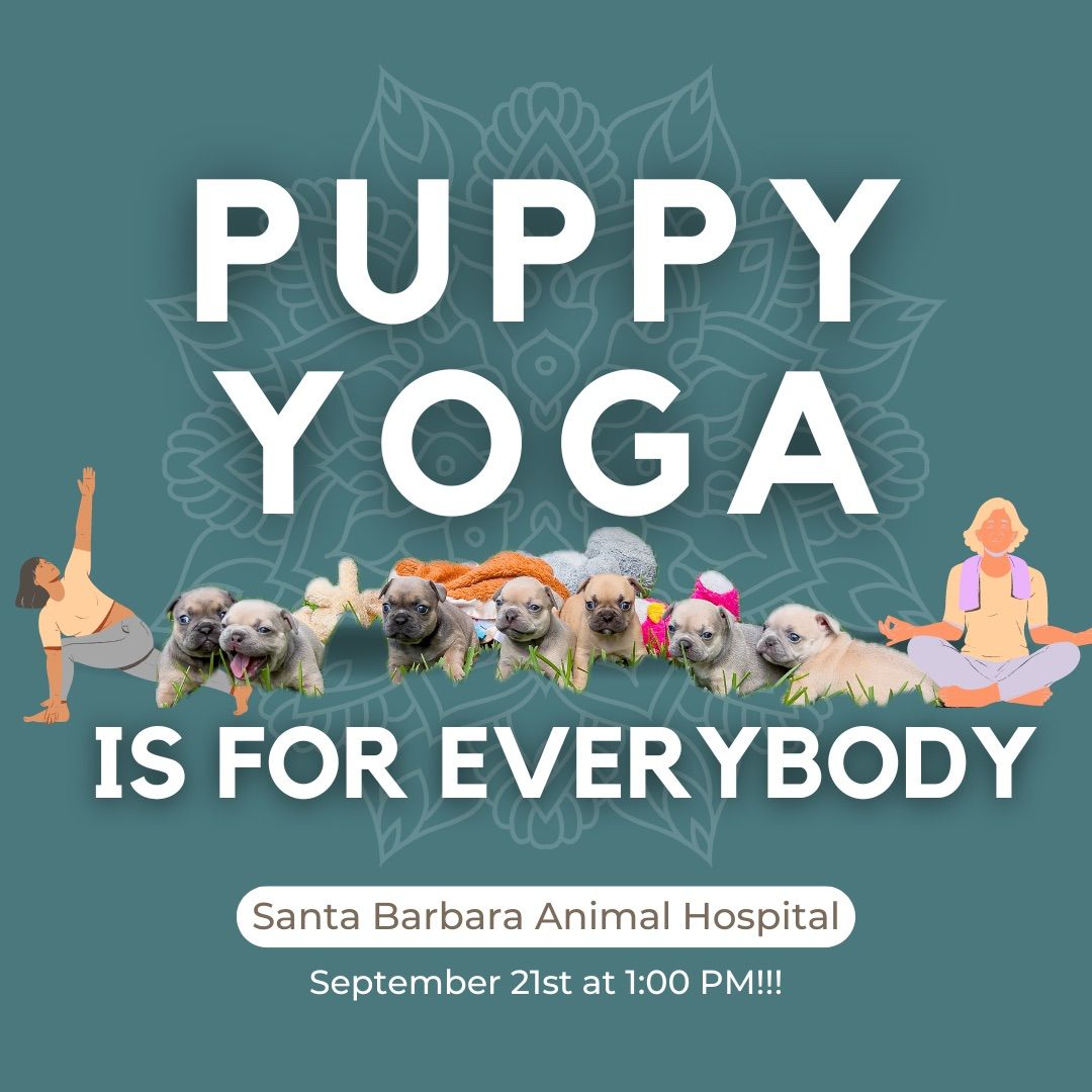 Puppy Yoga Alert!