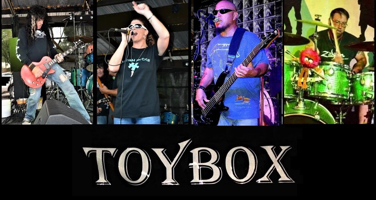 ToyBox Rocks Pinto's 