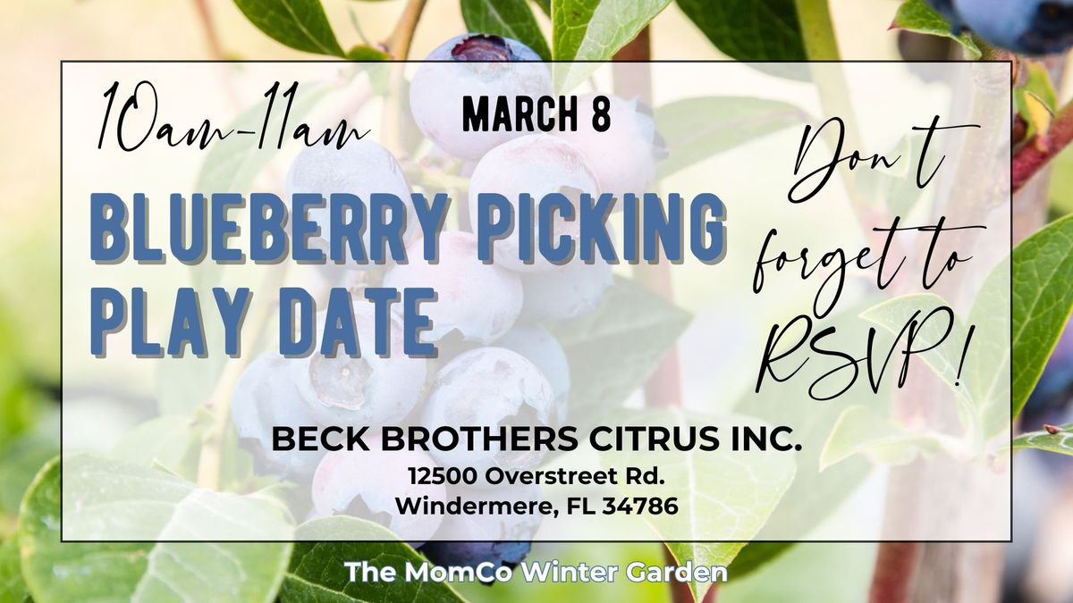 MomCo Family Blueberry Picking Play Date