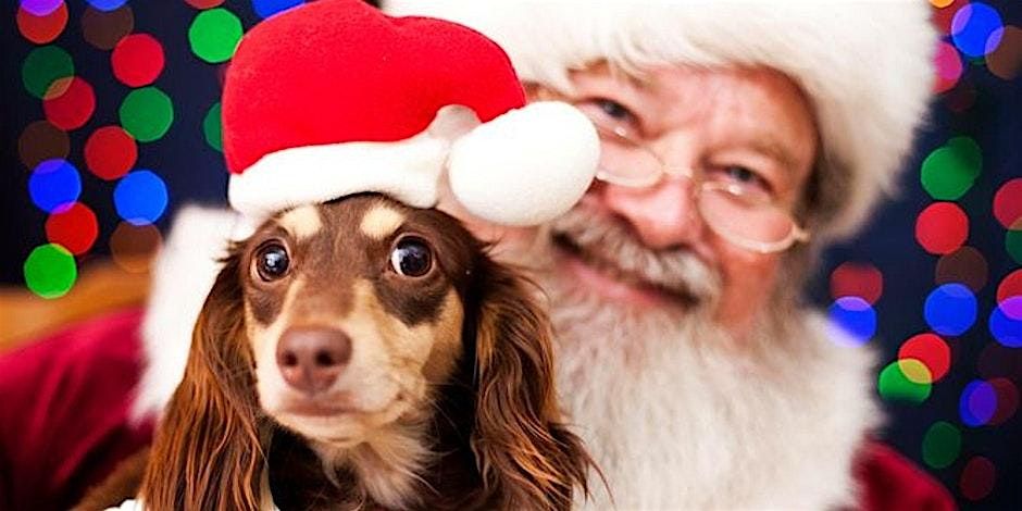 2025 Santa Photos @ Endless Tails Pet Nutrition Centre