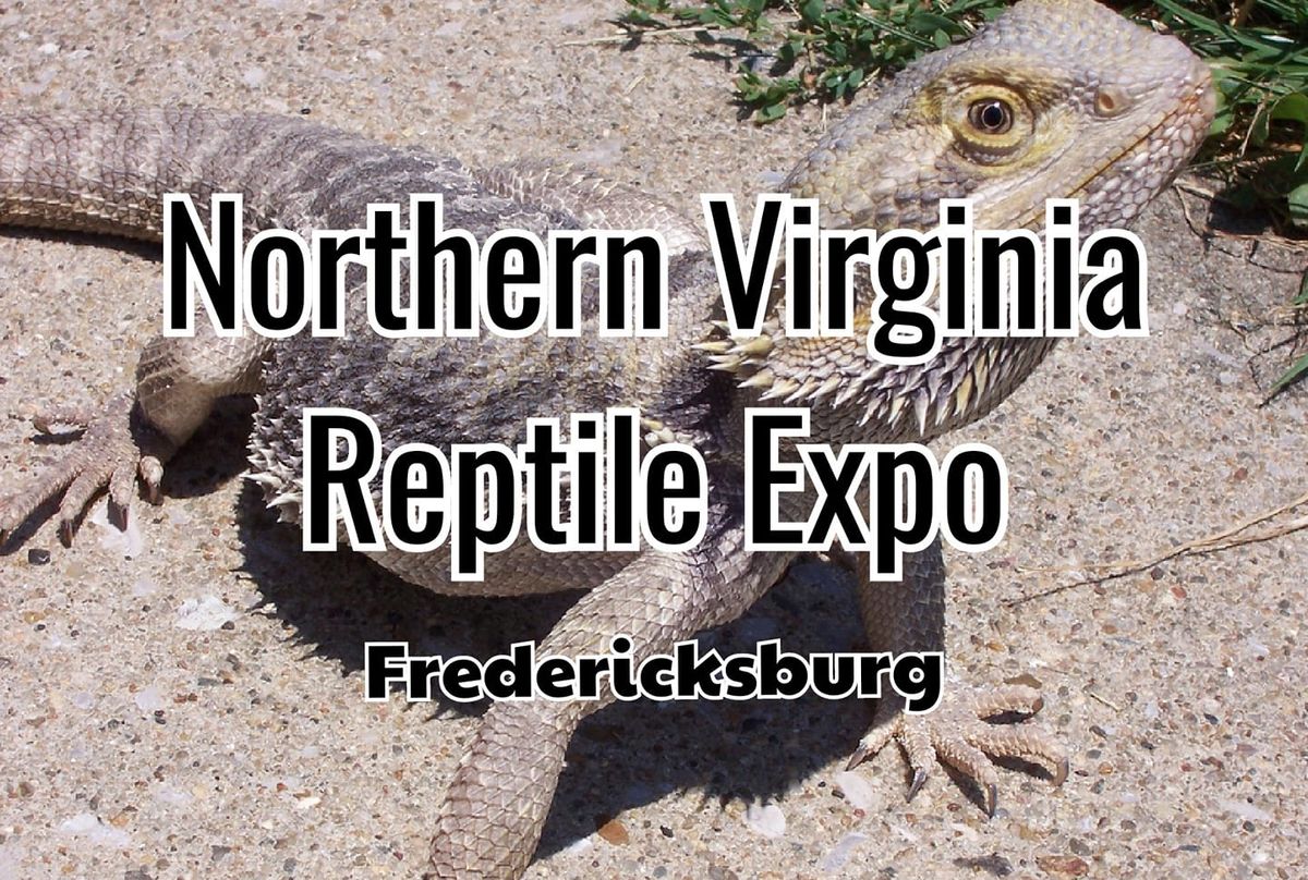 Northern Virginia Reptile Expo Fredericksburg