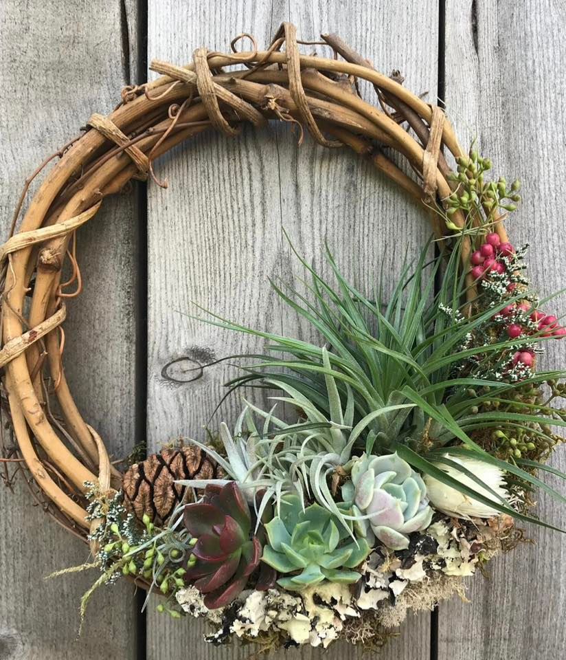 Wine & Design Succulent Winter Living Wreath