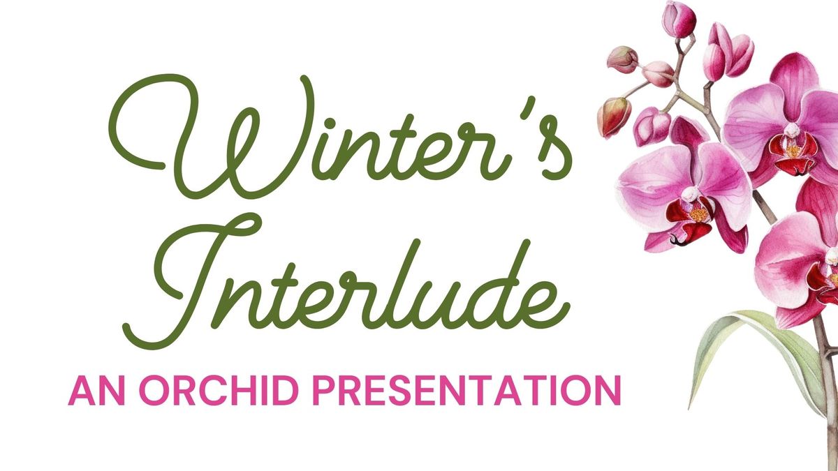 Winter's Interlude - An Orchid Presentation