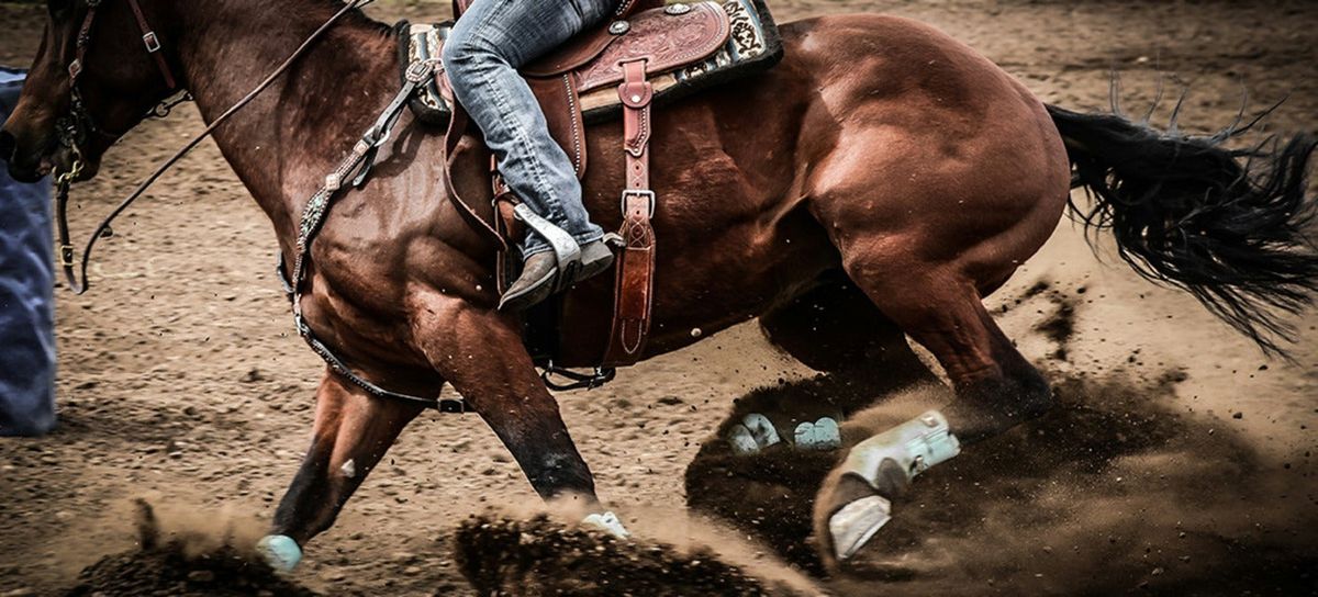 2026 FEI Jumping World Cup Finals - All Sessions (4\/8 - 4\/12)