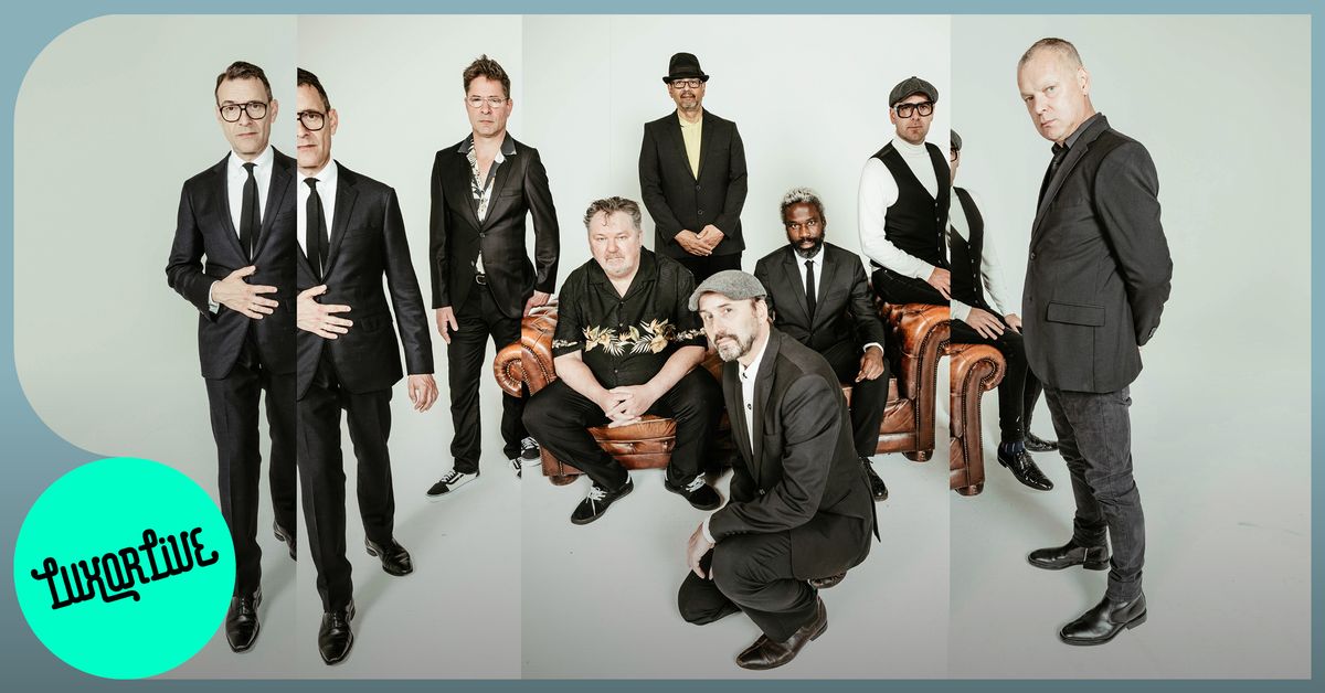 New Cool Collective in Luxor Live