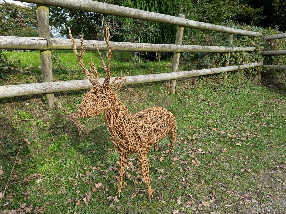 Create a willow deer, reindeer of llama workshop in the heart of the  New Forest 