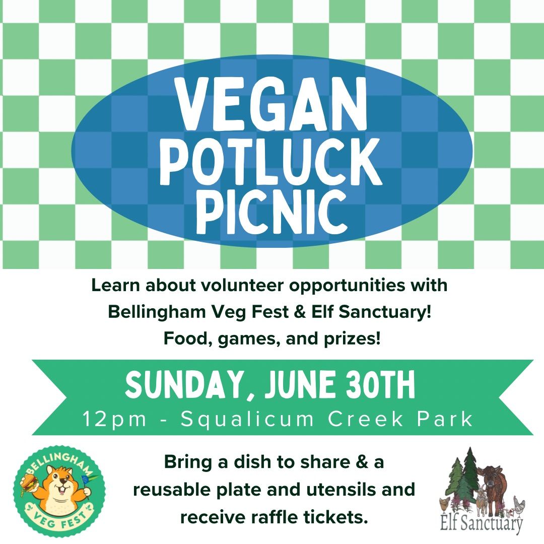 Vegan Potluck Picnic with BVF & Elf Sanctuary 