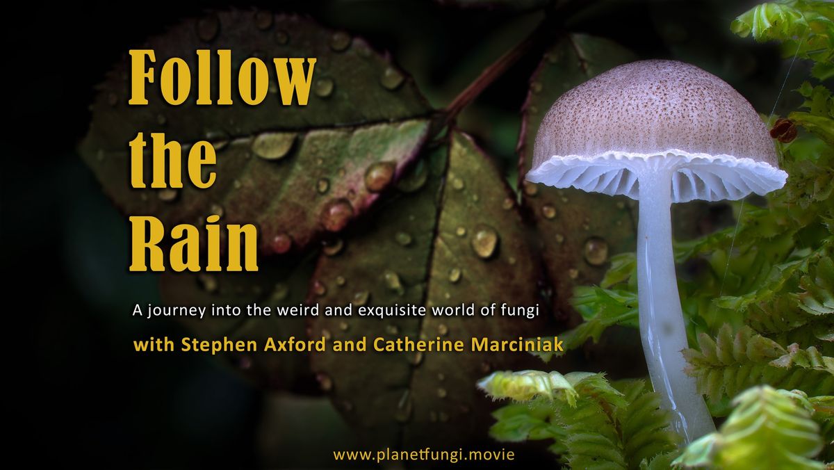 Follow the Rain - Feature Documentary about the Wonder of Fungi - HOBART