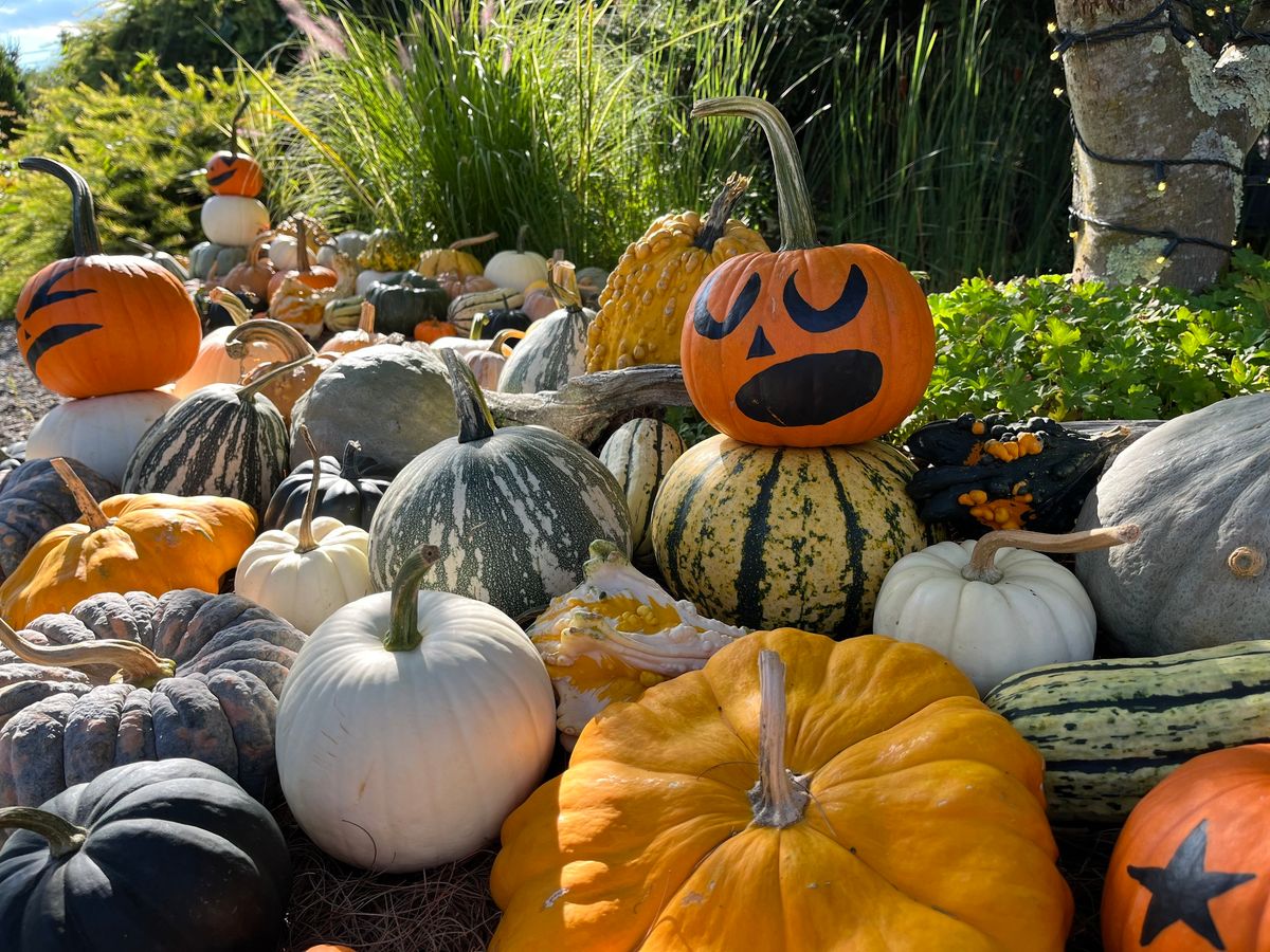 The Pumpkin Walk