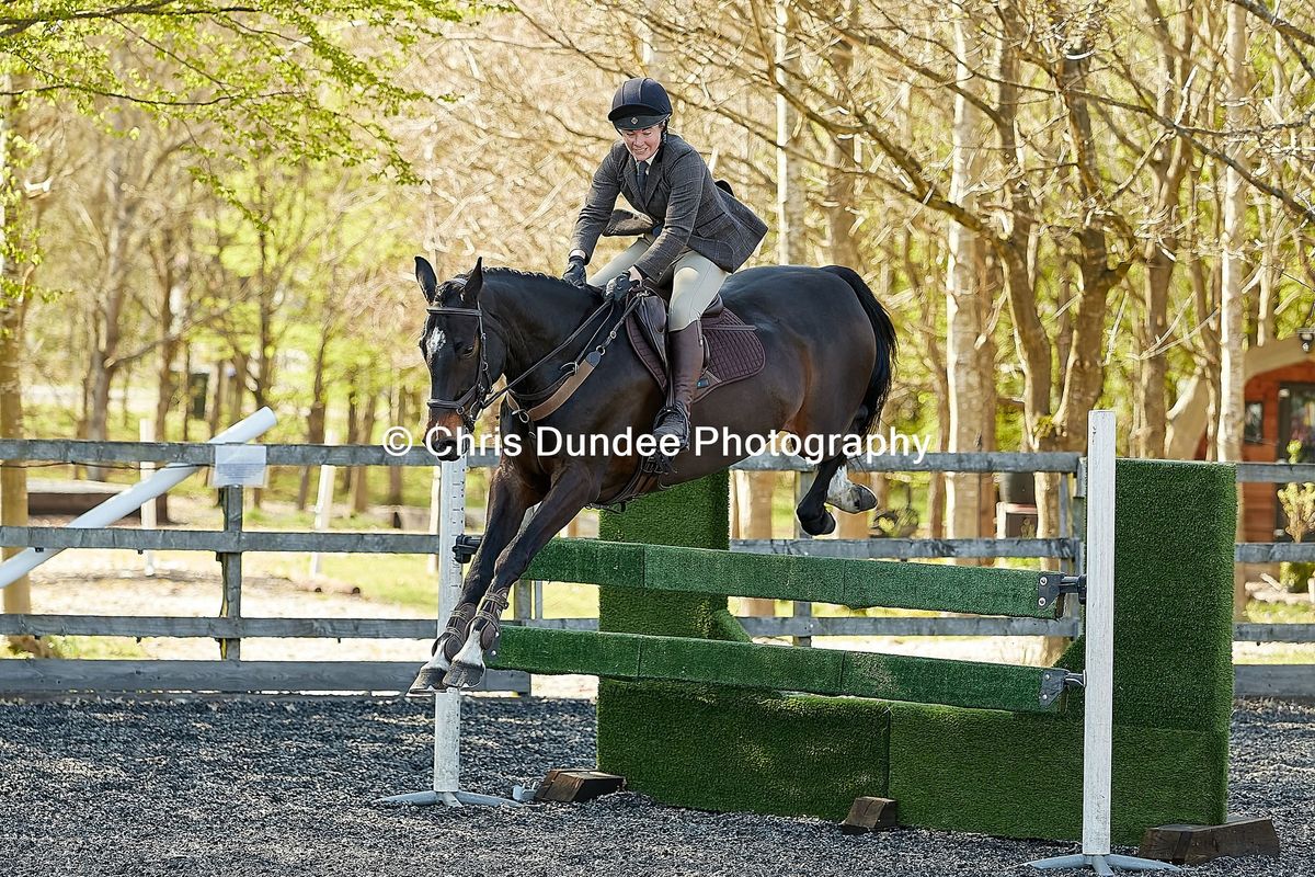 Working Hunter Clear Round Jumping