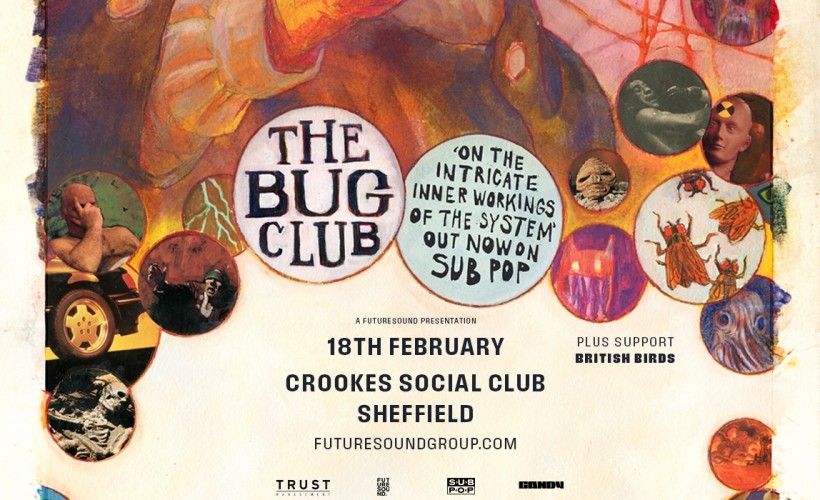 The Bug Club Live