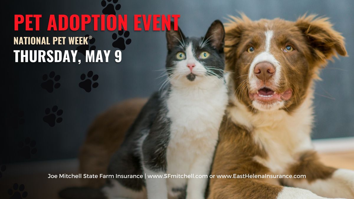Celebrate National Pet Week: LCHS Shelter Pet Adoption Event