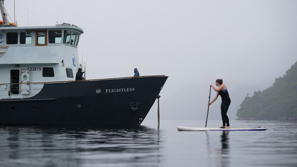 Fiordland Wilderness Adventure - February 2025