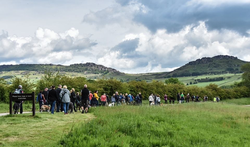 Great Global Greyhound Walk