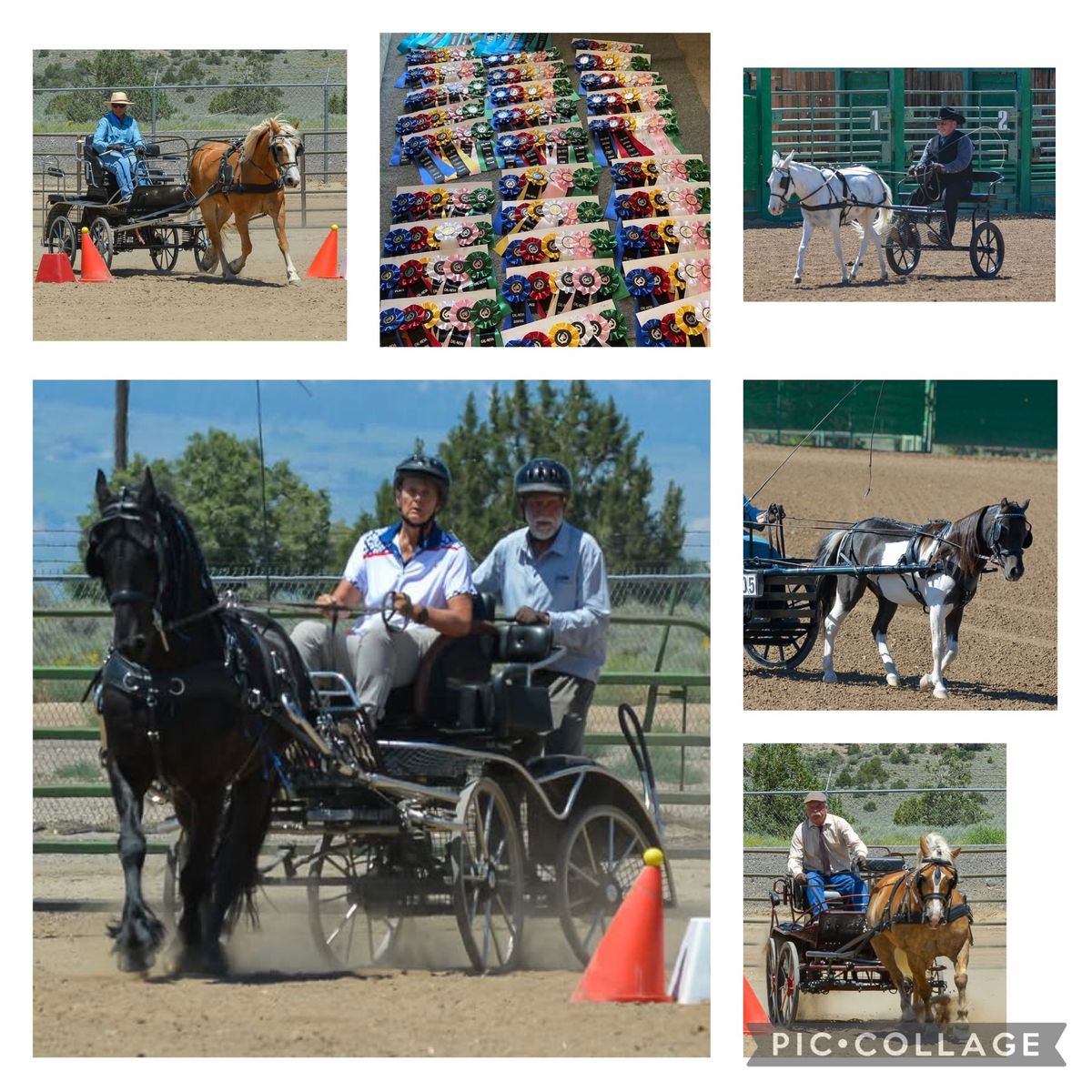 Cal-Neva Driving Club Summer Solstice Carriage Show 